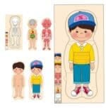 Rompecabezas cuerpo humano niño de madera artesanal Montessori – Didácticos – Aserrín Perú